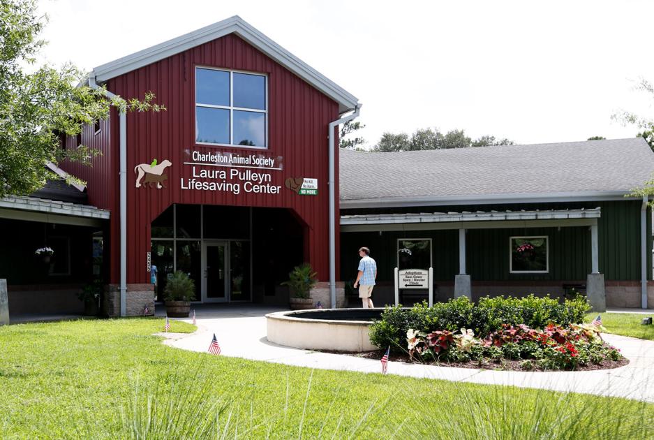 Charleston Animal Society Over Capacity Offering Free Adoptions News Postandcourier Com