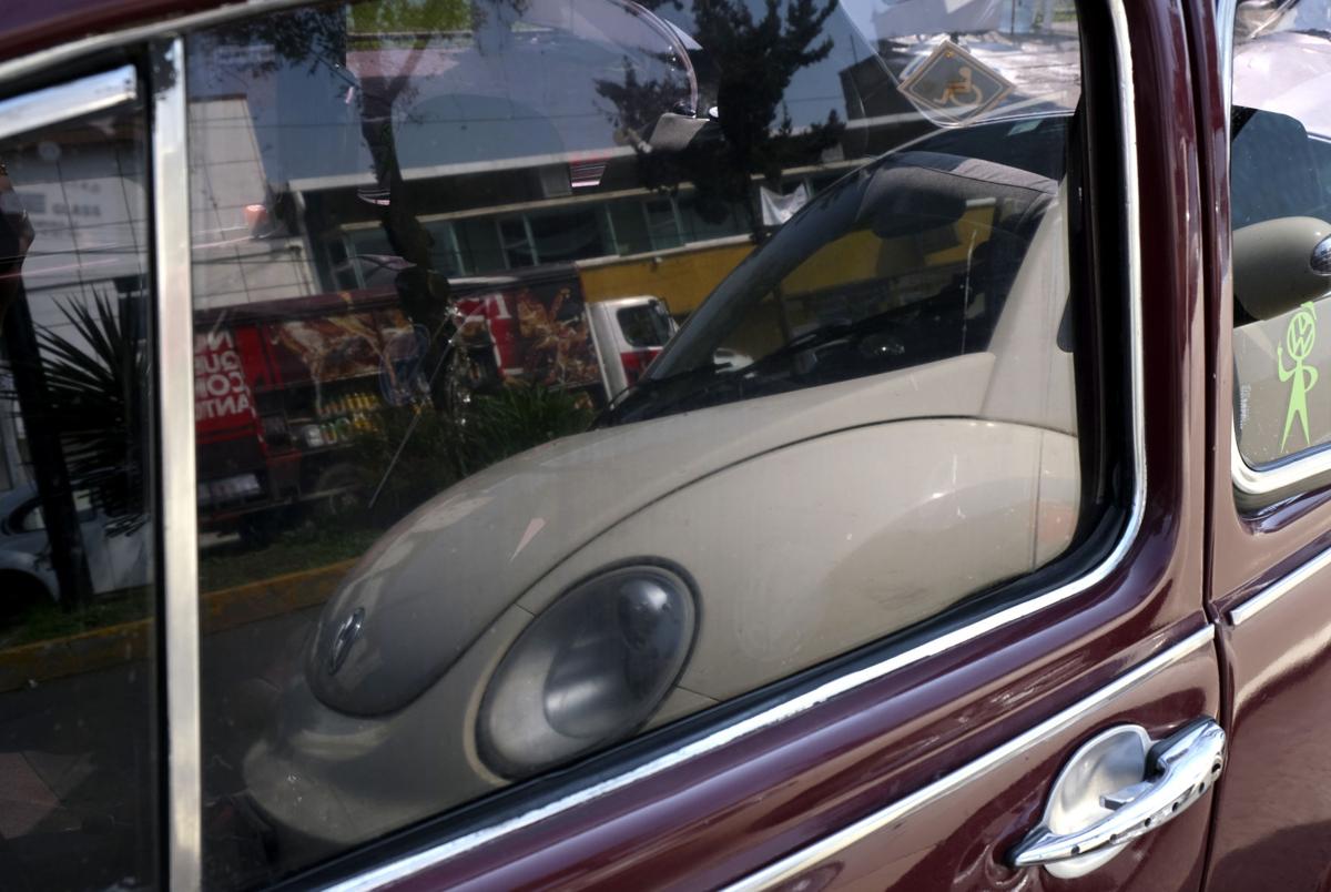 Mexico The Last Beetle
