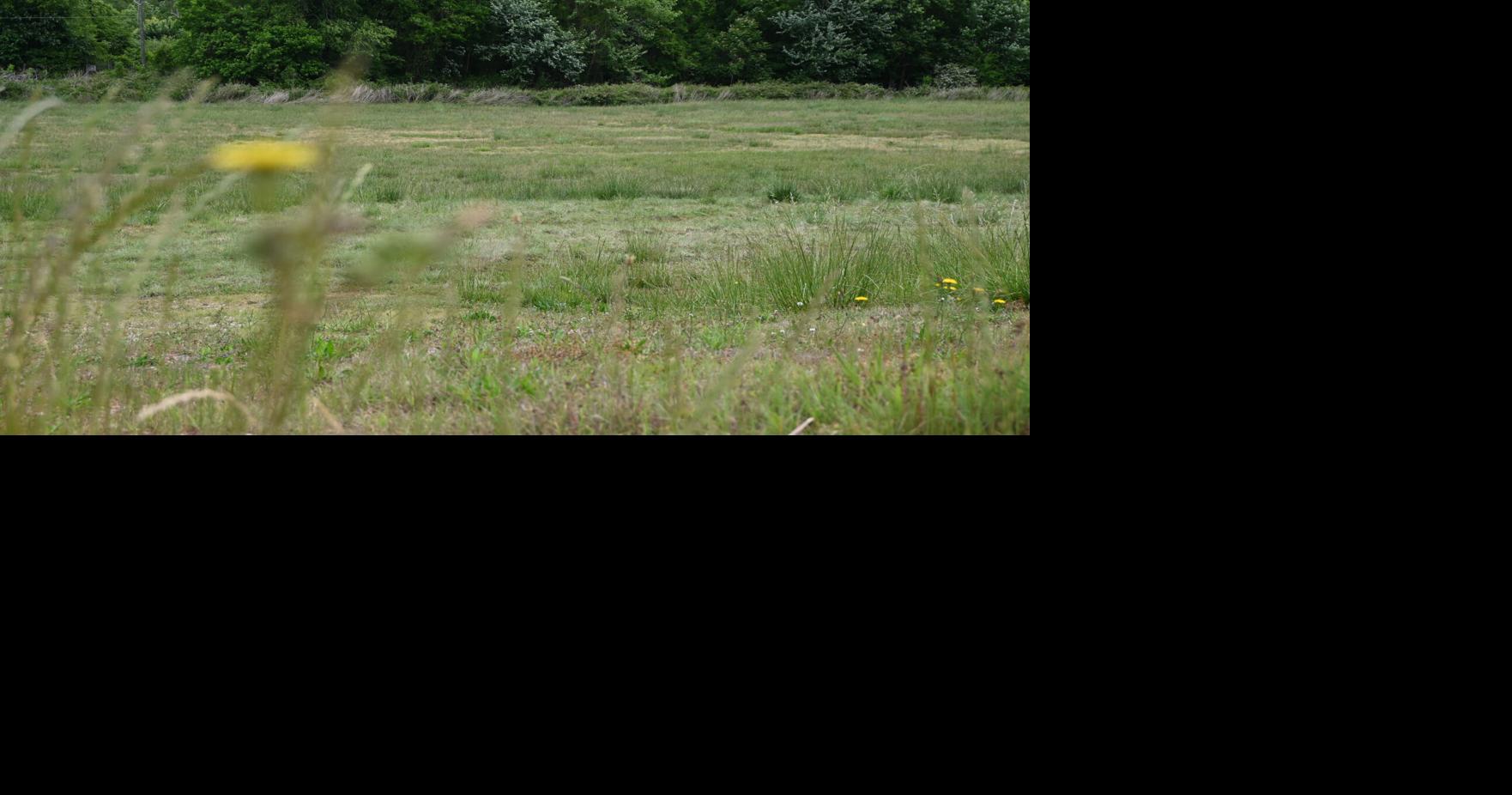 How much of Greenville's land can — and should — be preserved?