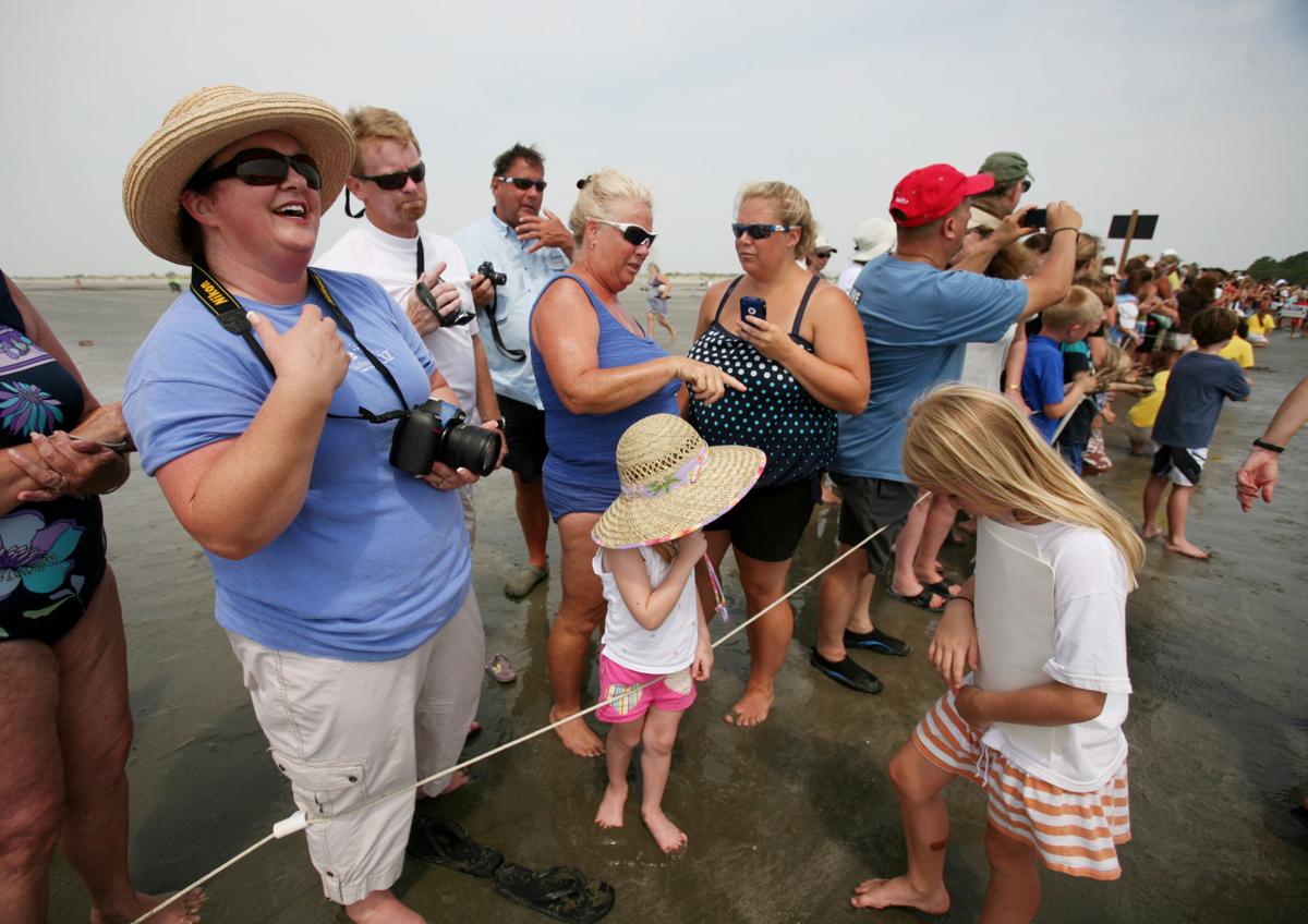 Turtle Release