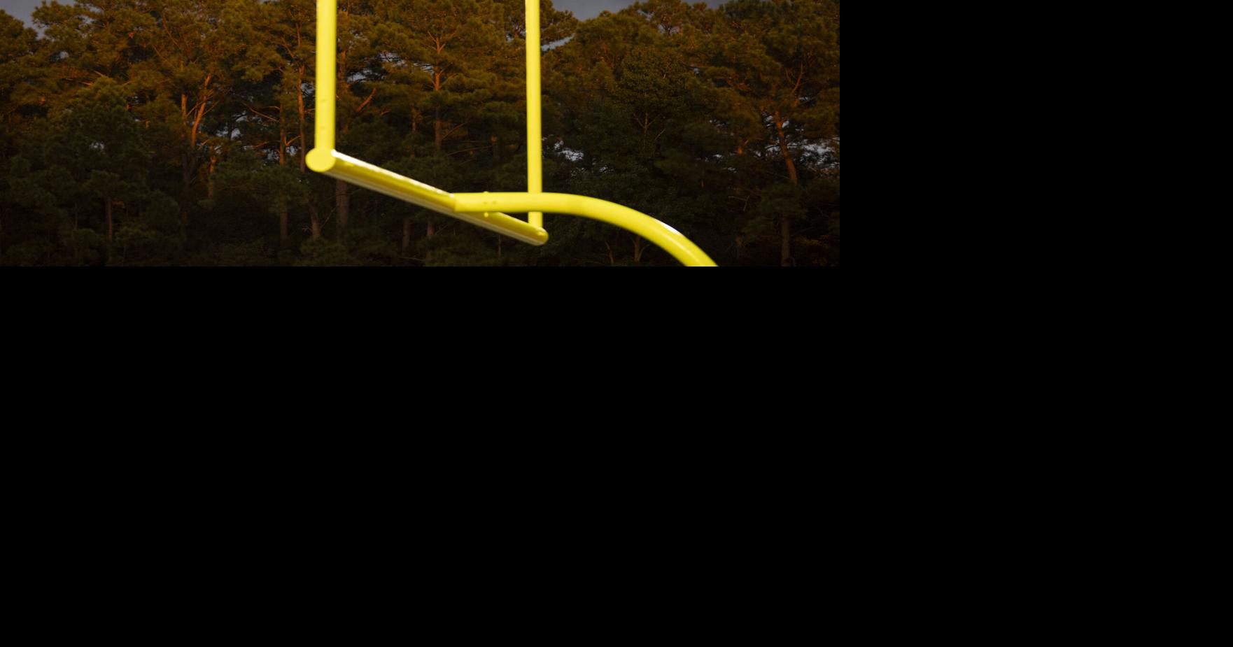 SC lawsuit filed on behalf of deceased NFL player survives legal challenge that halted other brain trauma cases