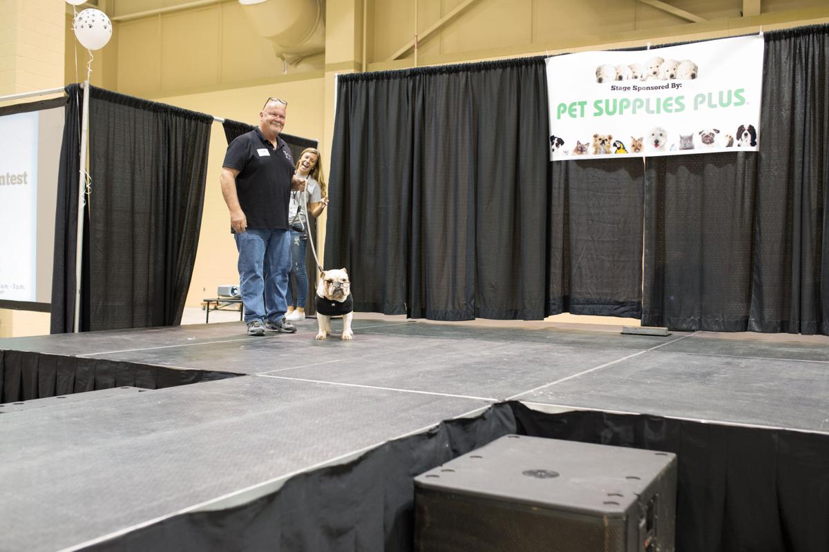 Pet Expo-October 14, 2017-830