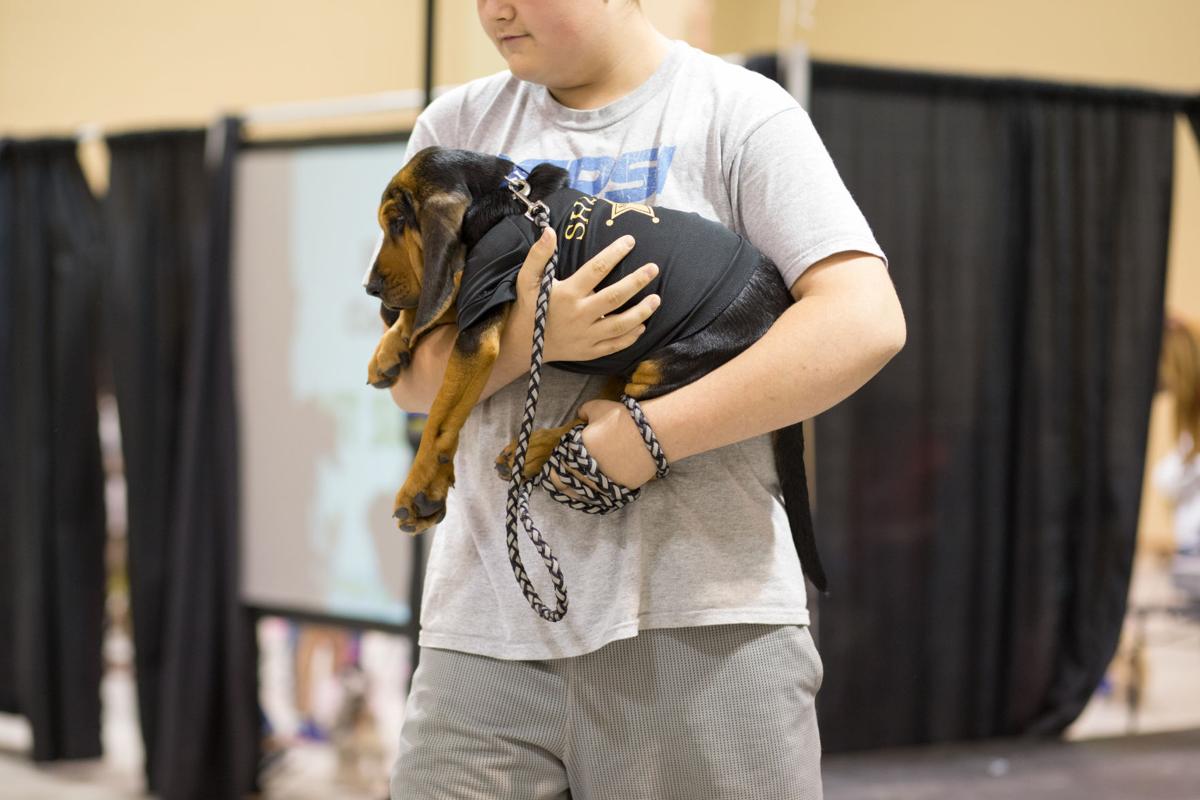 Pet Expo-October 14, 2017-550