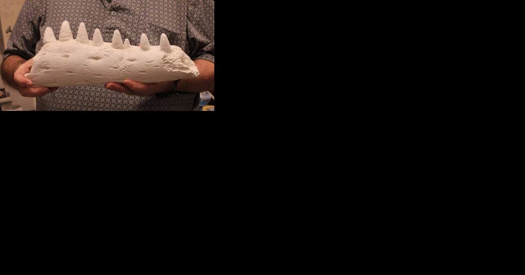 Fossil expert digs into Myrtle Beach areas past