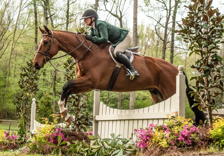 Aiken Horse Show Kicks Off Friday Competition Canceled Saturday aiken-horse-show-kicks-off-friday-competition-canceled-saturday
