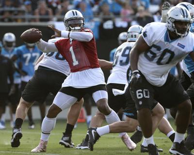Carolina Panthers Plan To Build Team Hq Practice Facility In Sc News Postandcourier Com