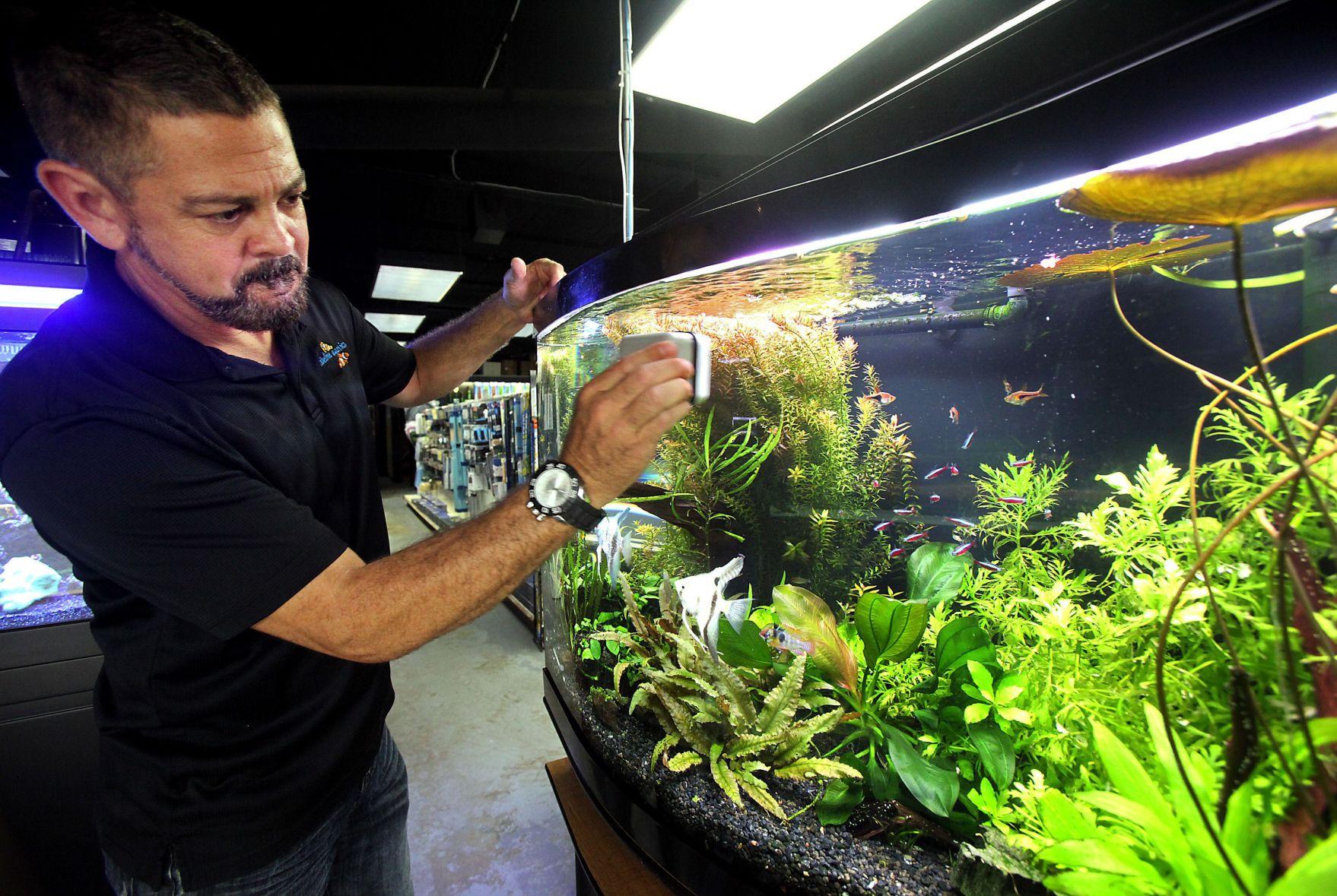 Kid-friendly Fish Tanks Setting up a home aquarium can be fun and