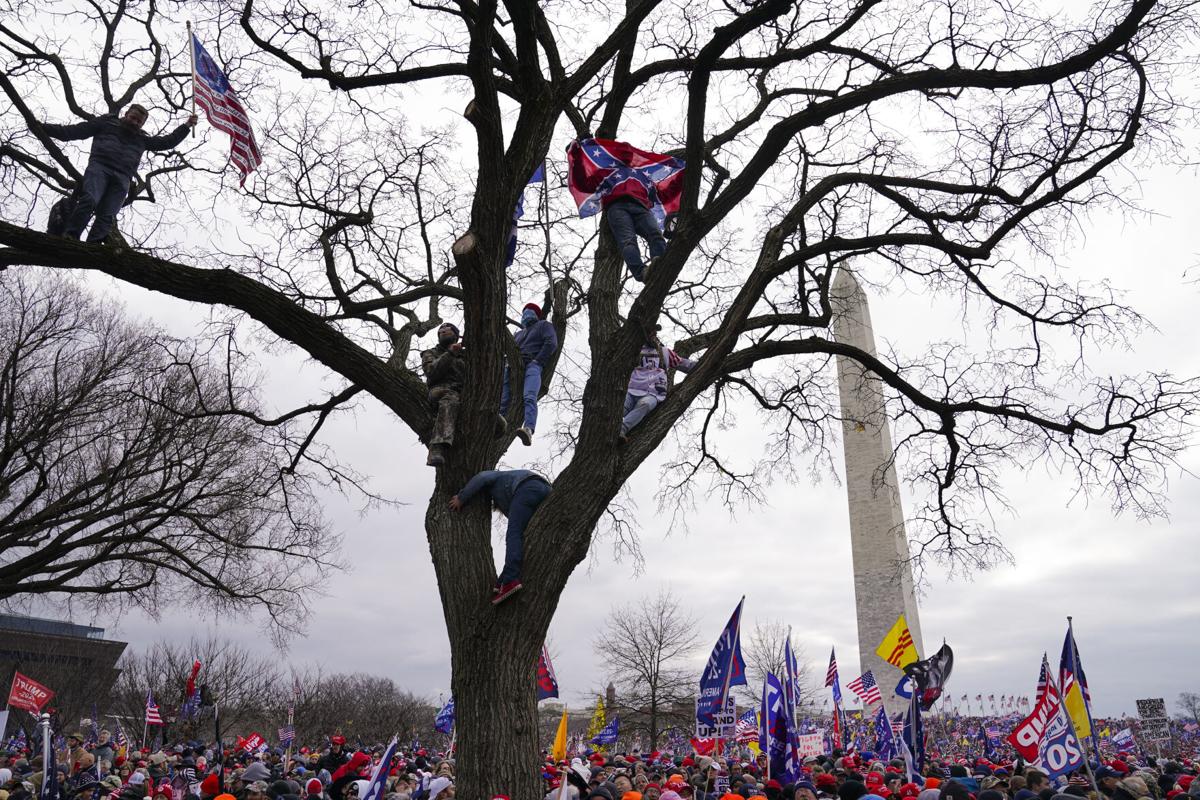 Electoral College Protests