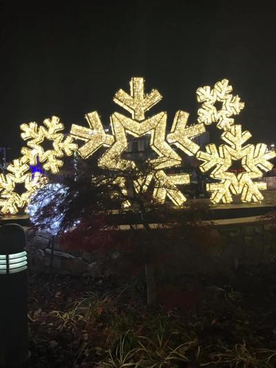 Midland Valley Christmas Parade canceled | News | postandcourier.com