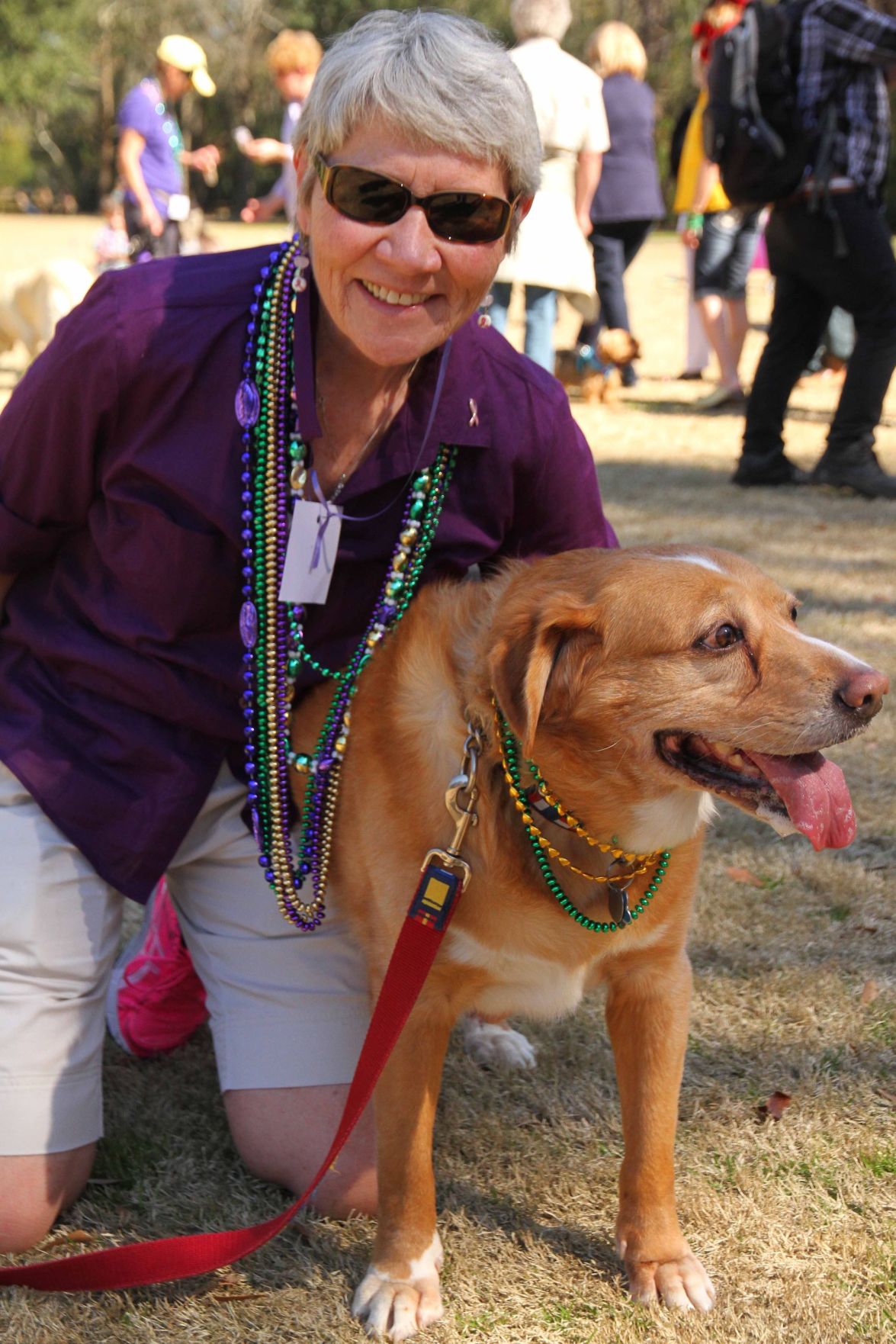 Mardi Gras Pawrade
