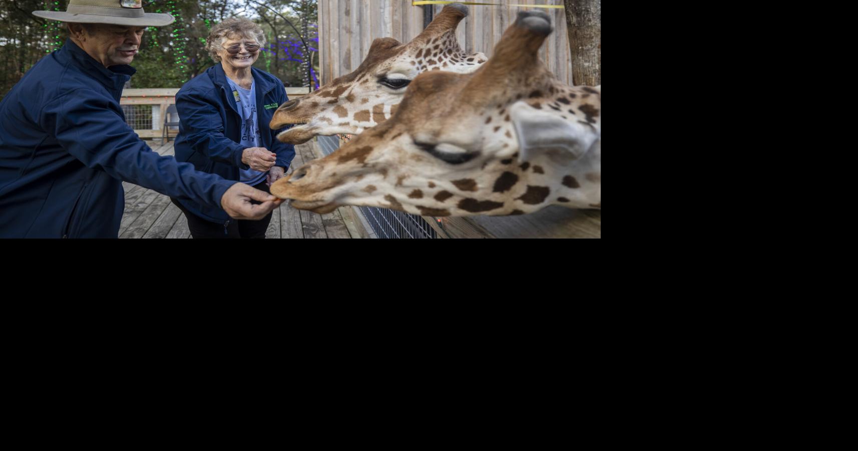 What about the animals? SC zoos prepare for snowy weekend weather.