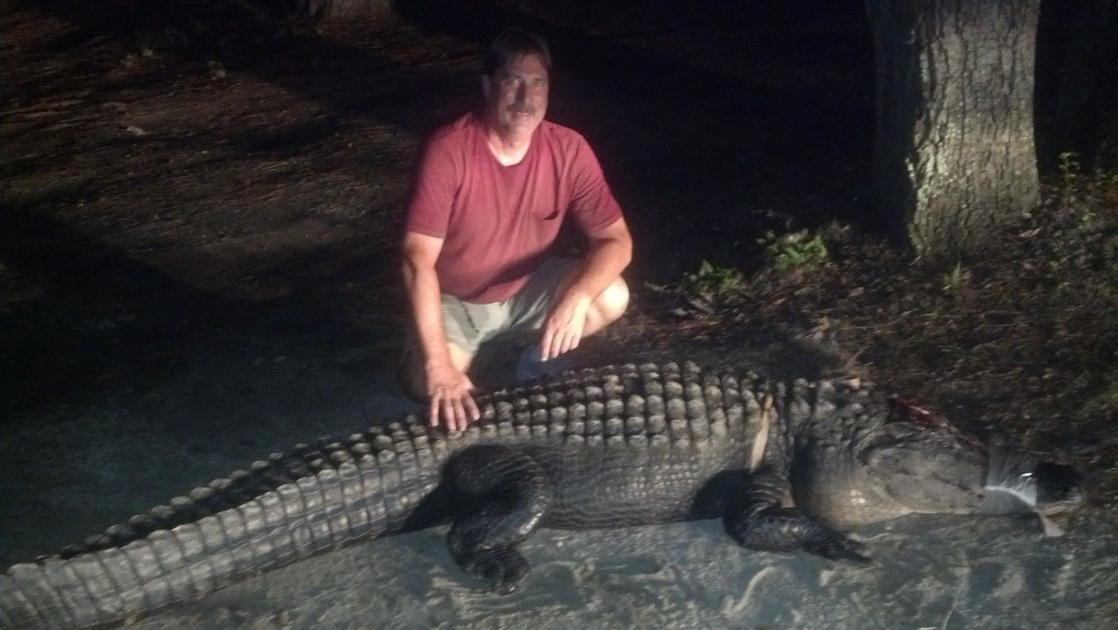 Big gator grabbed on Edisto River during alligator hunt in South