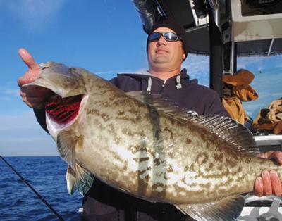 Grouper: Little spots, big fish, Fishing