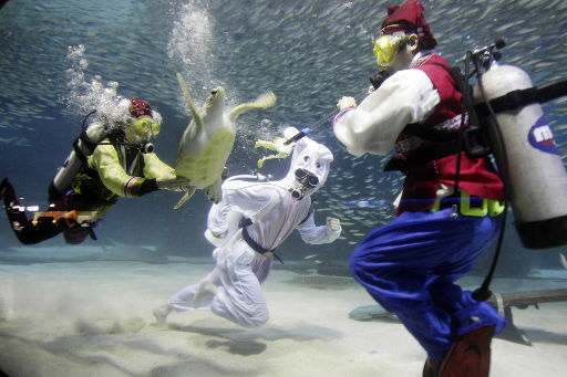 New Year's around the world