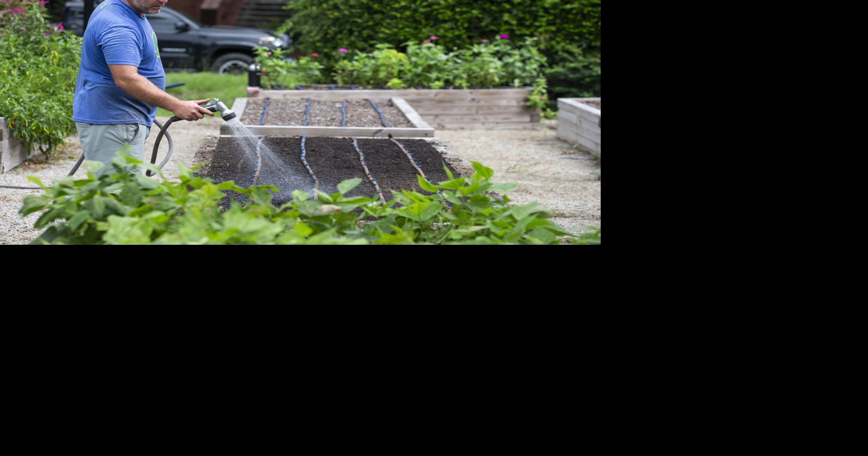 Fall planting season good for garlic, herbs and kale