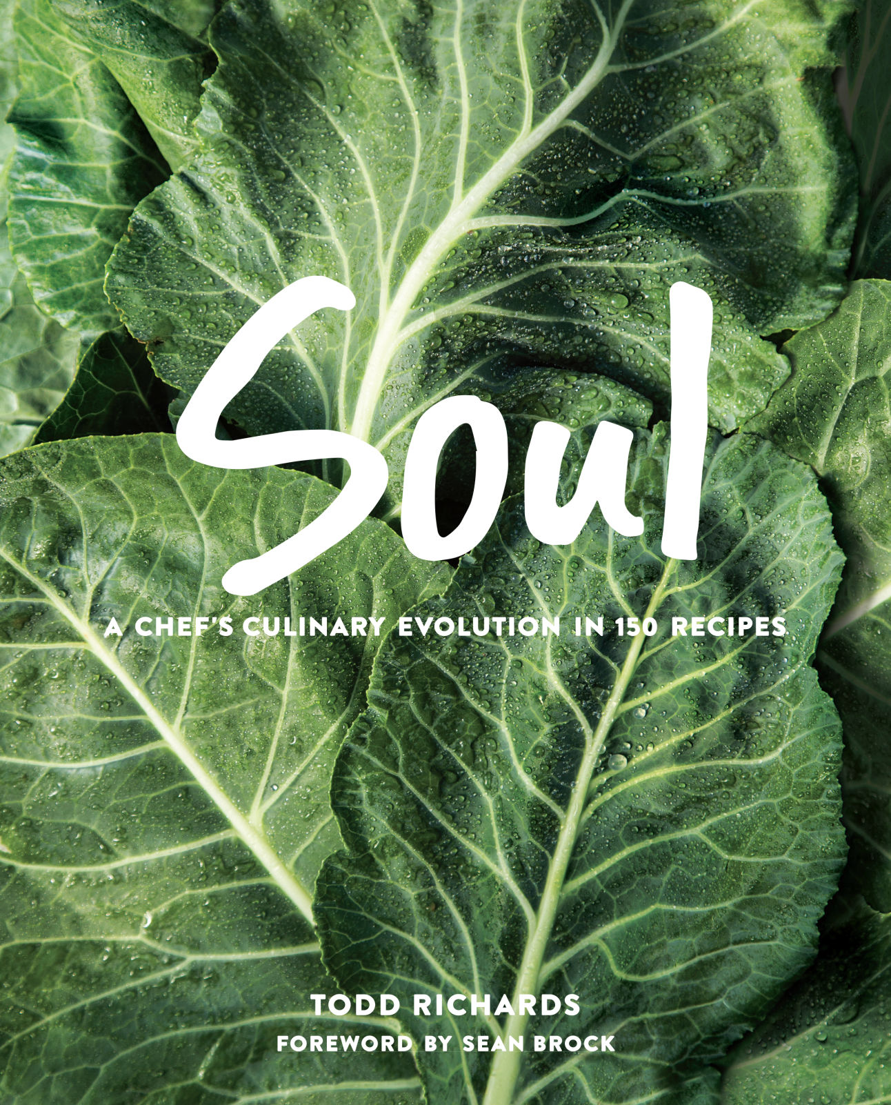 Vegan Soul Food Cookbook by Nadira Jenkins-El
