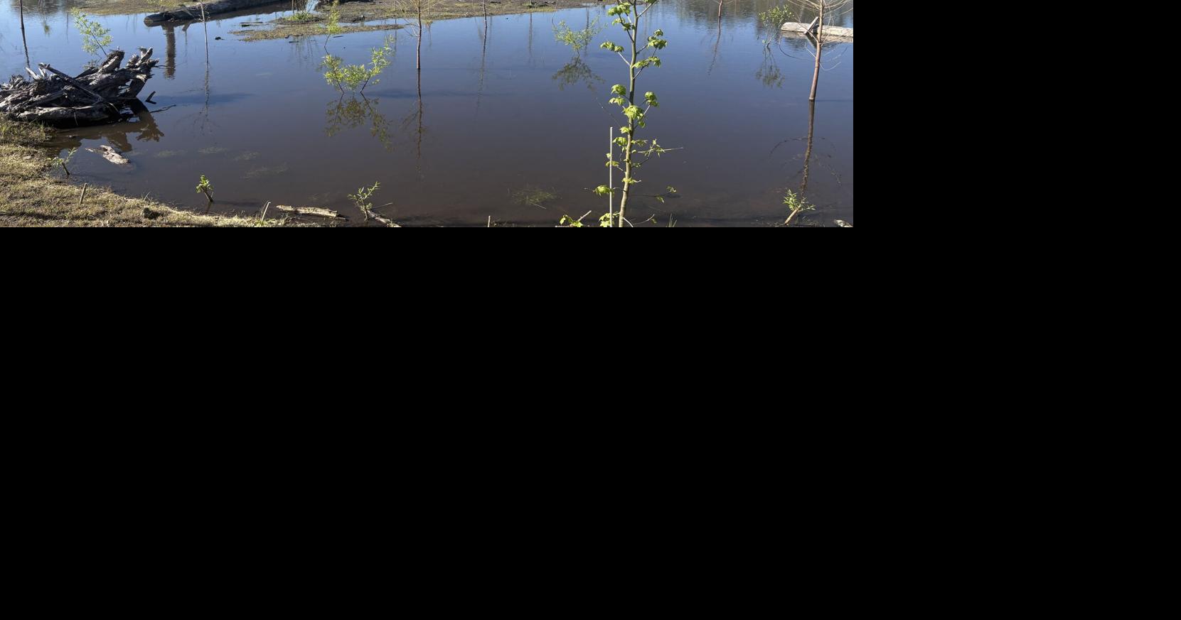 Green solutions for Charleston in era of climate change