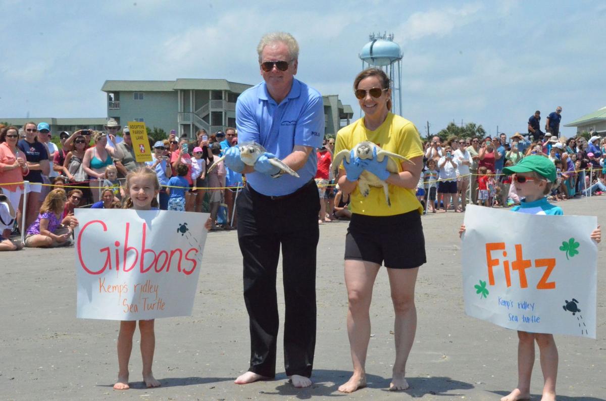 SC Aquarium releases six rehabbed sea turtles