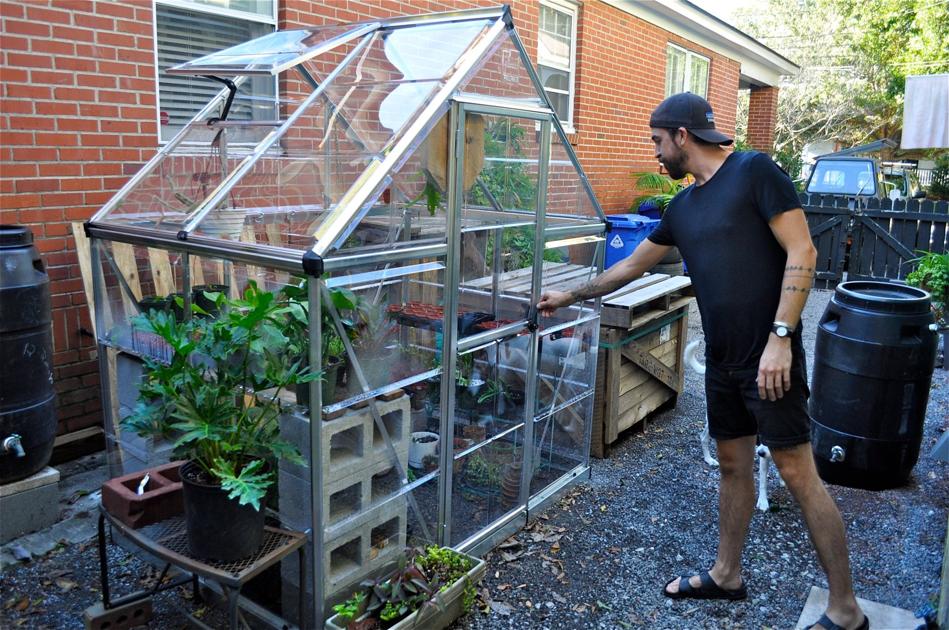 Taking Gardening Indoors Despite Mild Weather Greenhouses Still