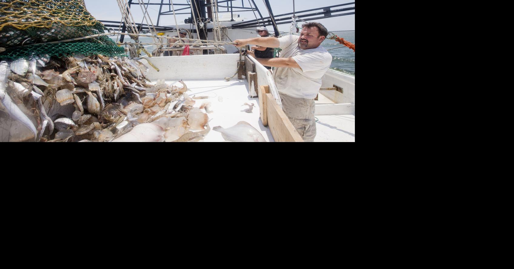 Progress in seafood industry, allow SC sports betting, education must improve | Letters
