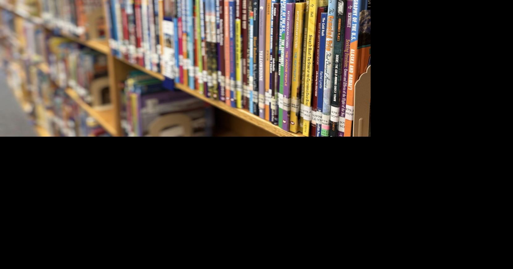 Librarians, high-school students sue SC superintendent, Greenville schools over book bans