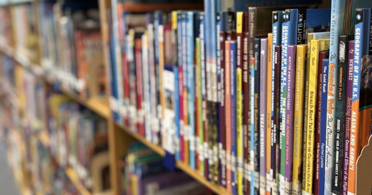 Librarians, high-school students sue SC superintendent, Greenville schools over book bans