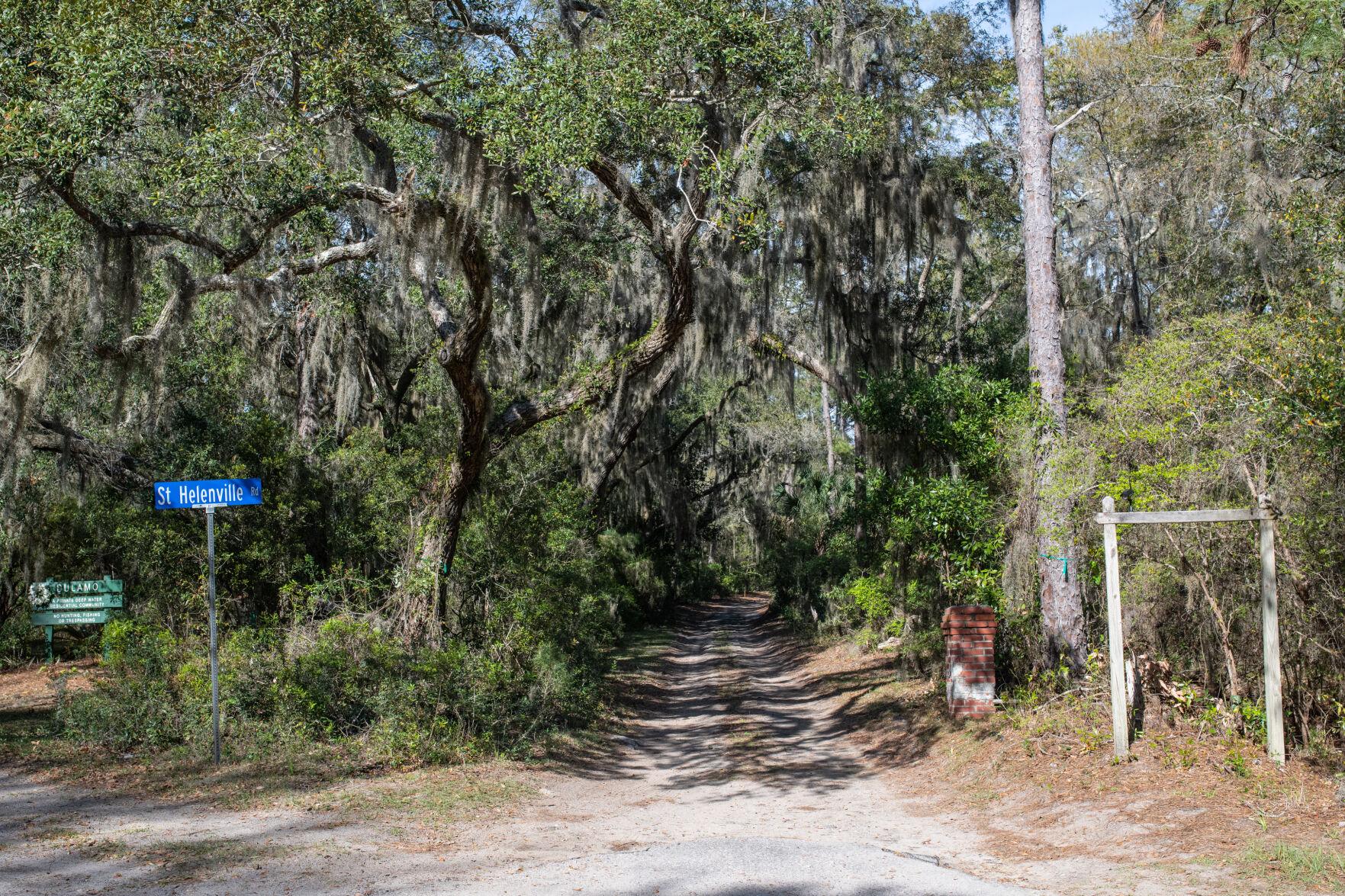 SC's Pine Island has a new owner. Developer Elvio Tropeano proposes three sixhole golf courses