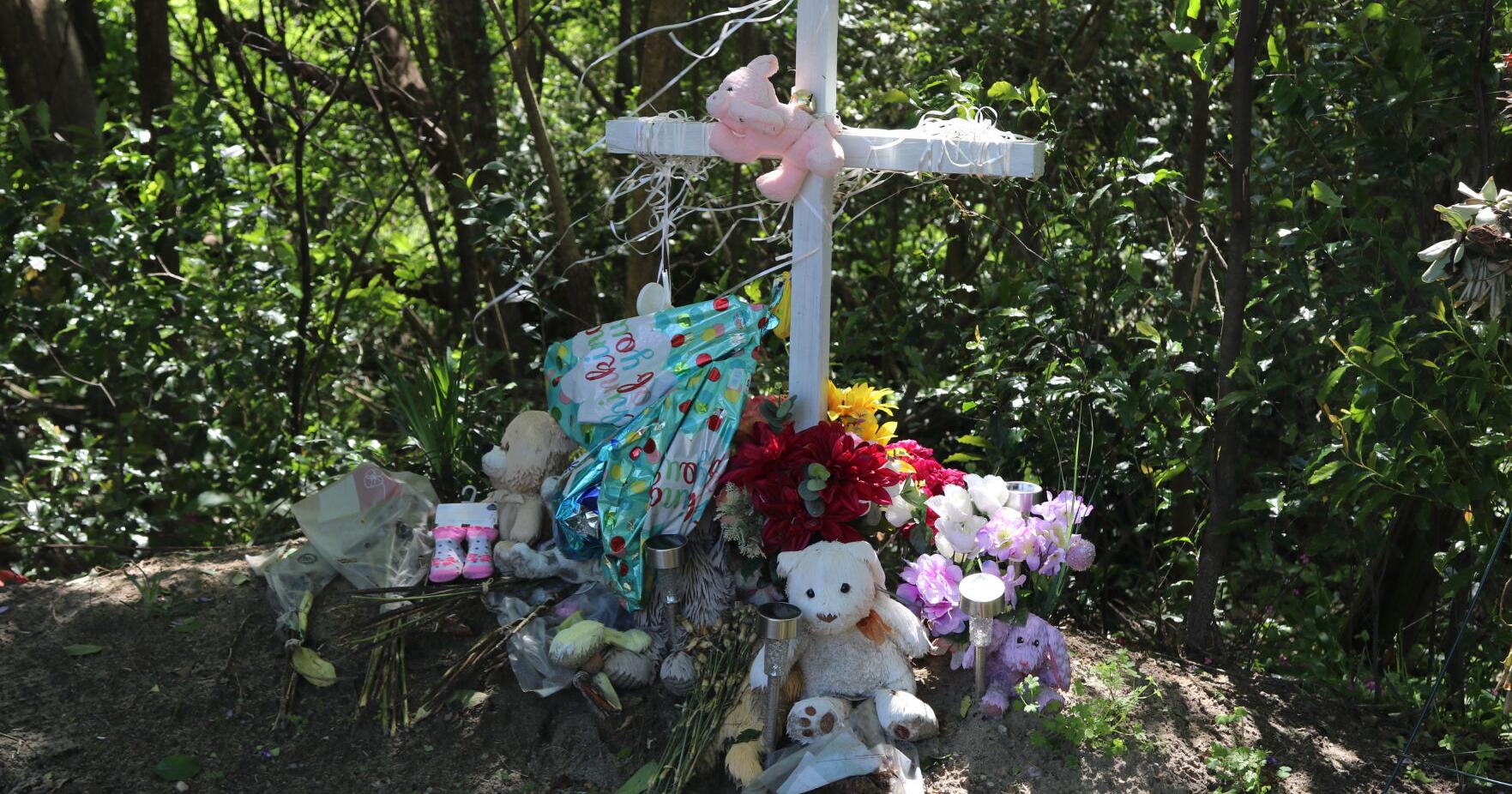 SC pregnant teen's death still under investigation | Columbia News - Vimarsana News