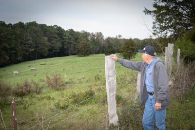 Greenville growth puts rural family land legacy at a crossroads