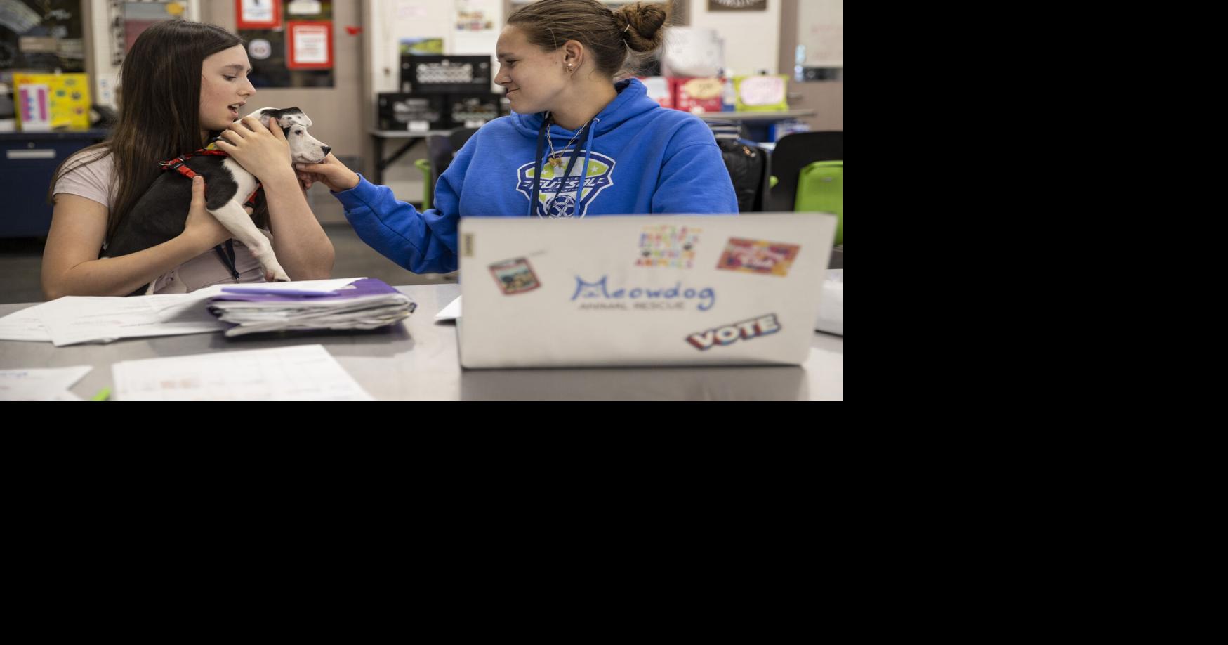 Mount Pleasant vet school helps students gain hands-on experience, rescue local ...