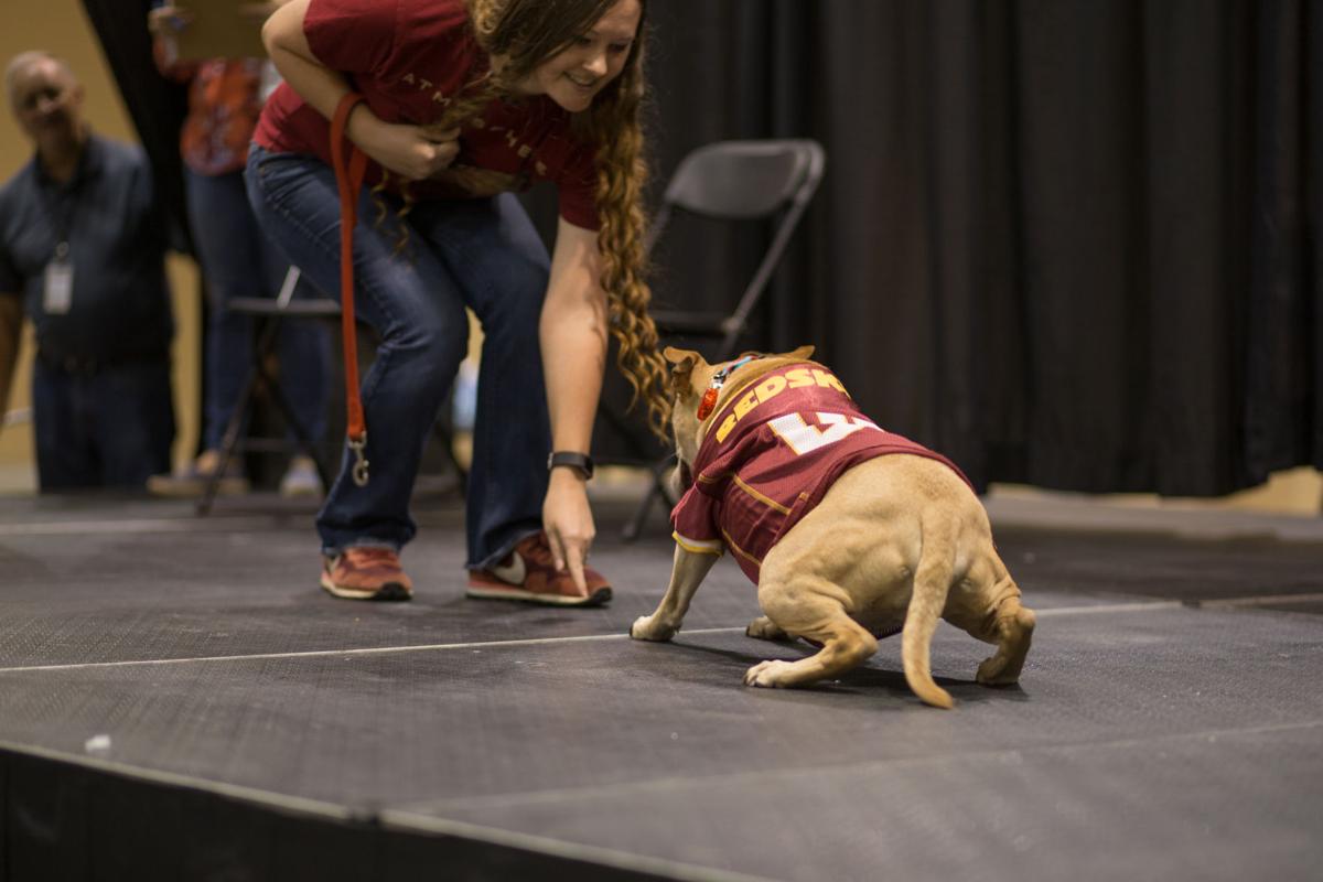 Pet Expo-October 14, 2017-330