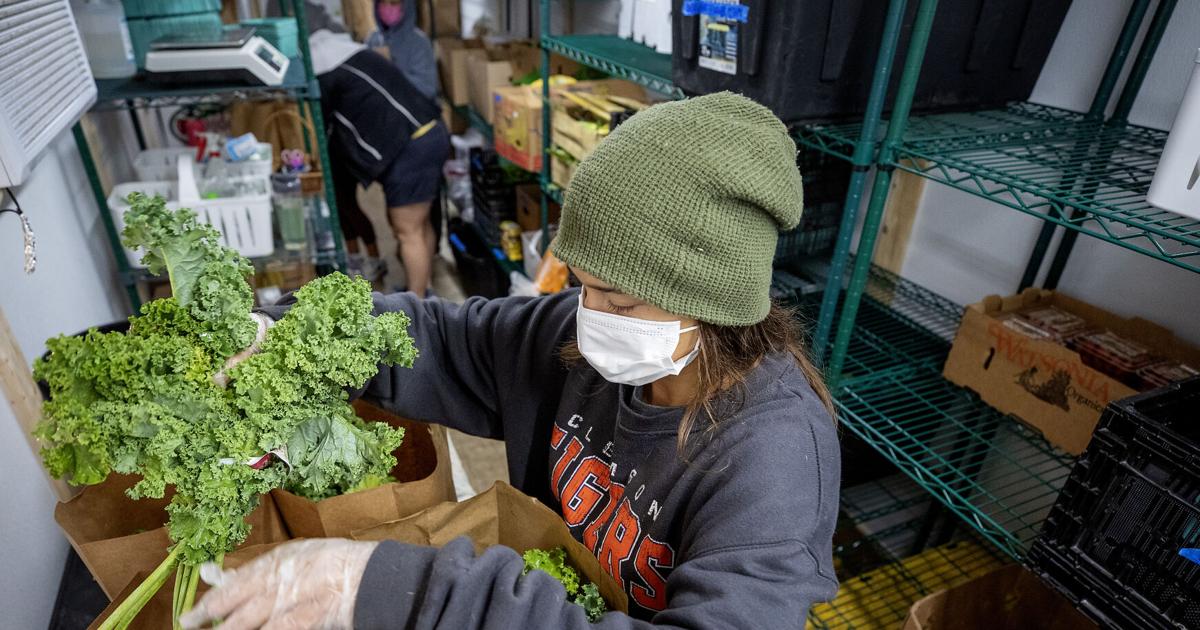 After SNAP cuts, a Lowcountry farmers market snaps back