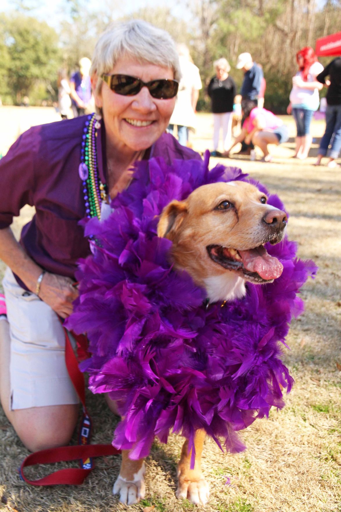 Mardi Gras Pawrade