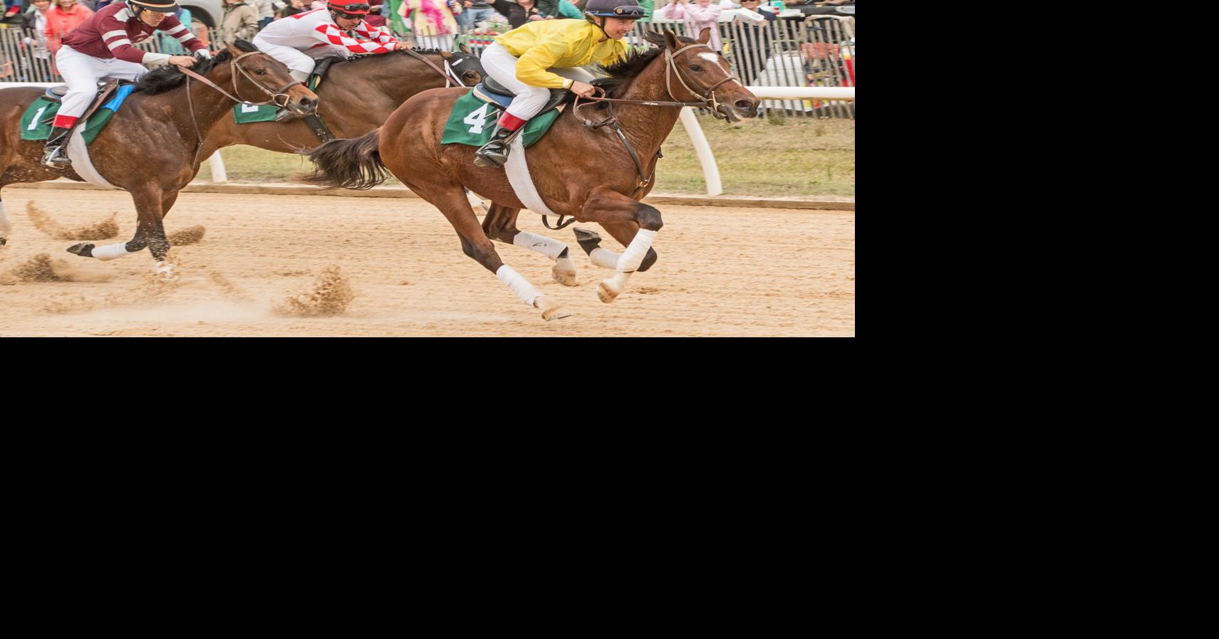 Aiken Trials fields Saturday could include future thoroughbred racing stars