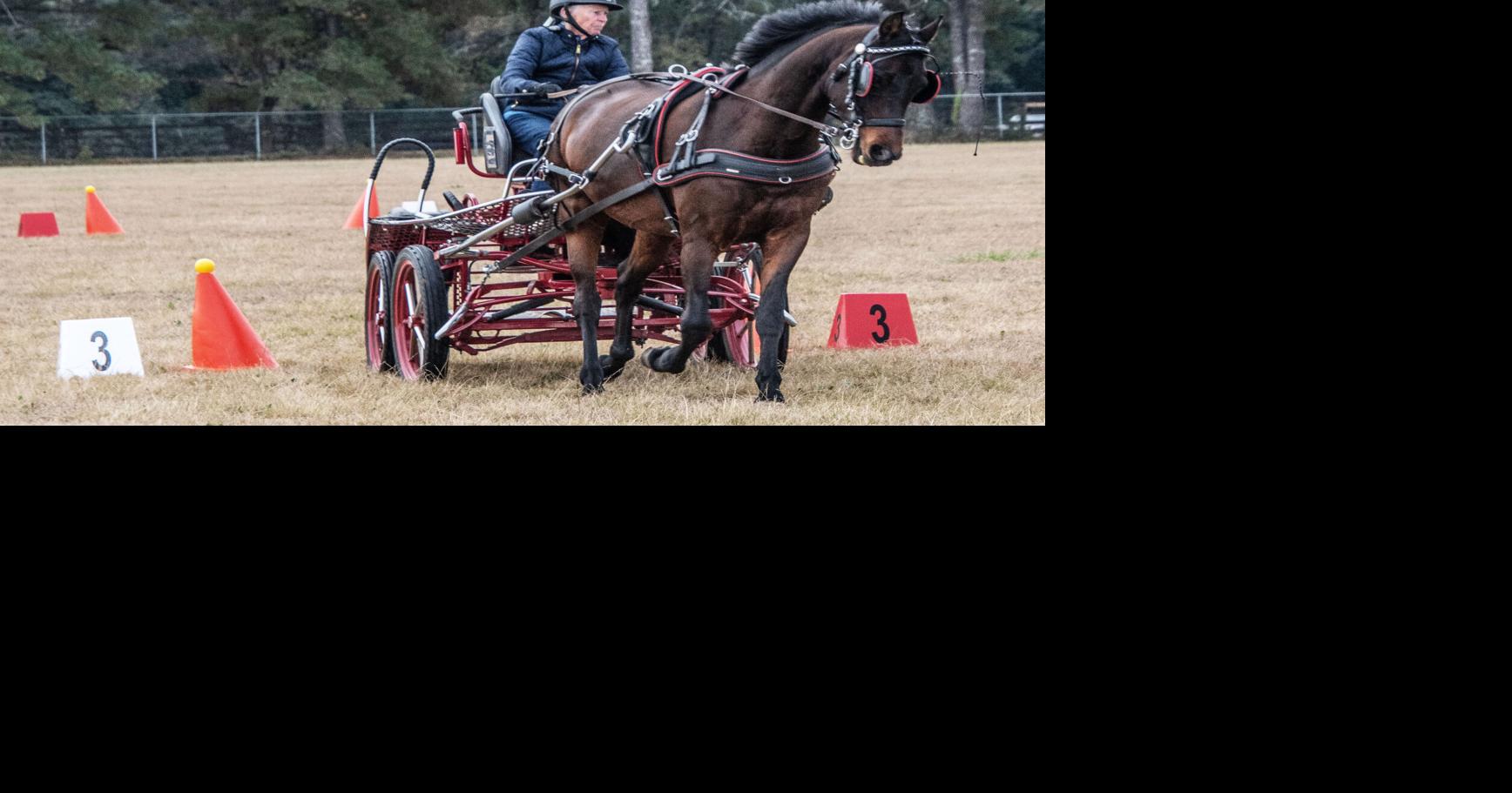 American Driving Society holds annual meeting in Aiken Aiken Area