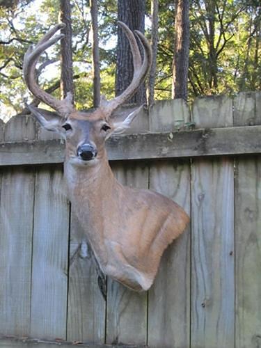 SP02 OUTDOORS COLUMN.jpg