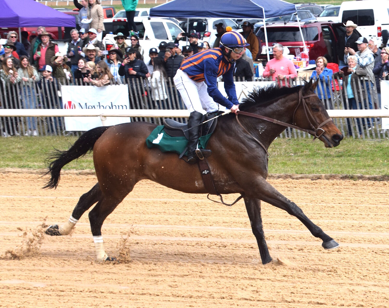 Attendees Enjoy The 80th Annual Aiken Trials | Aiken Area News ...