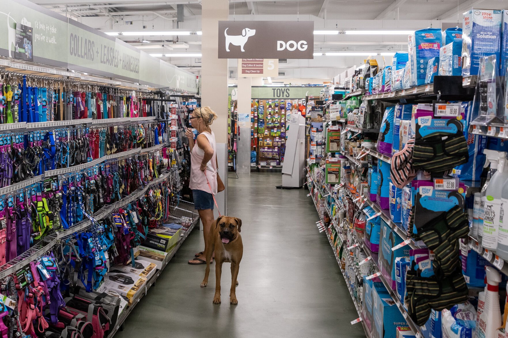 Saluda river pet clearance store