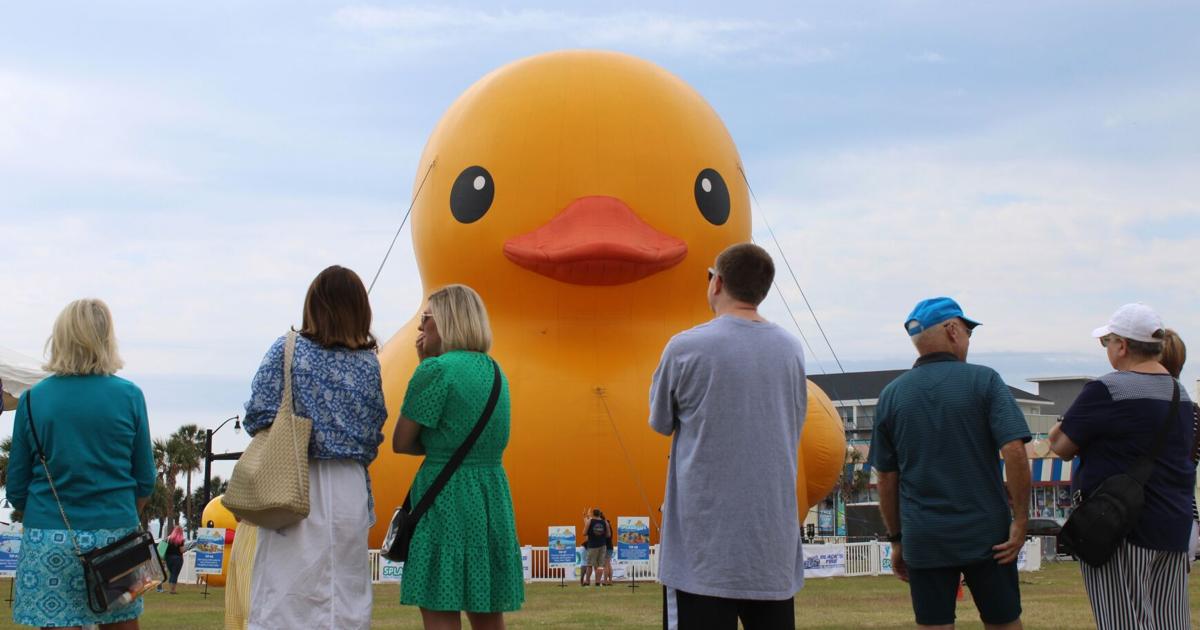 The World's Largest Rubber Duck has come to SC for the first time ...
