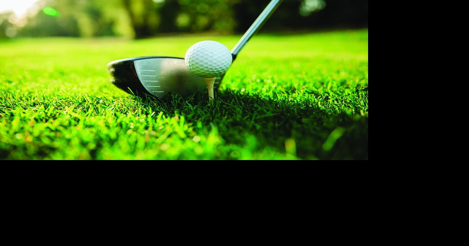 HEALTH AND FITNESS: Golf for fitness and health