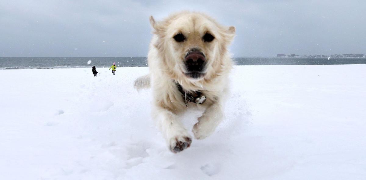 Winter storm wallops region