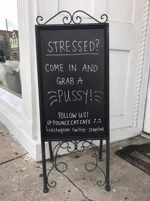 Charleston Cat Cafe Marks Trump Inauguration With Sign Of The