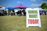 What's on offer at Columbia's many farmers markets