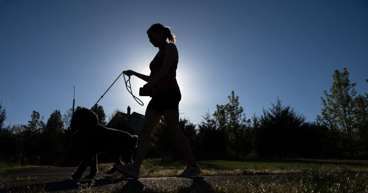 Divorce is getting hairier. Just ask the family pet.
