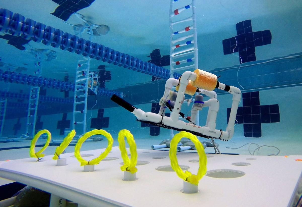 Underwater Robots