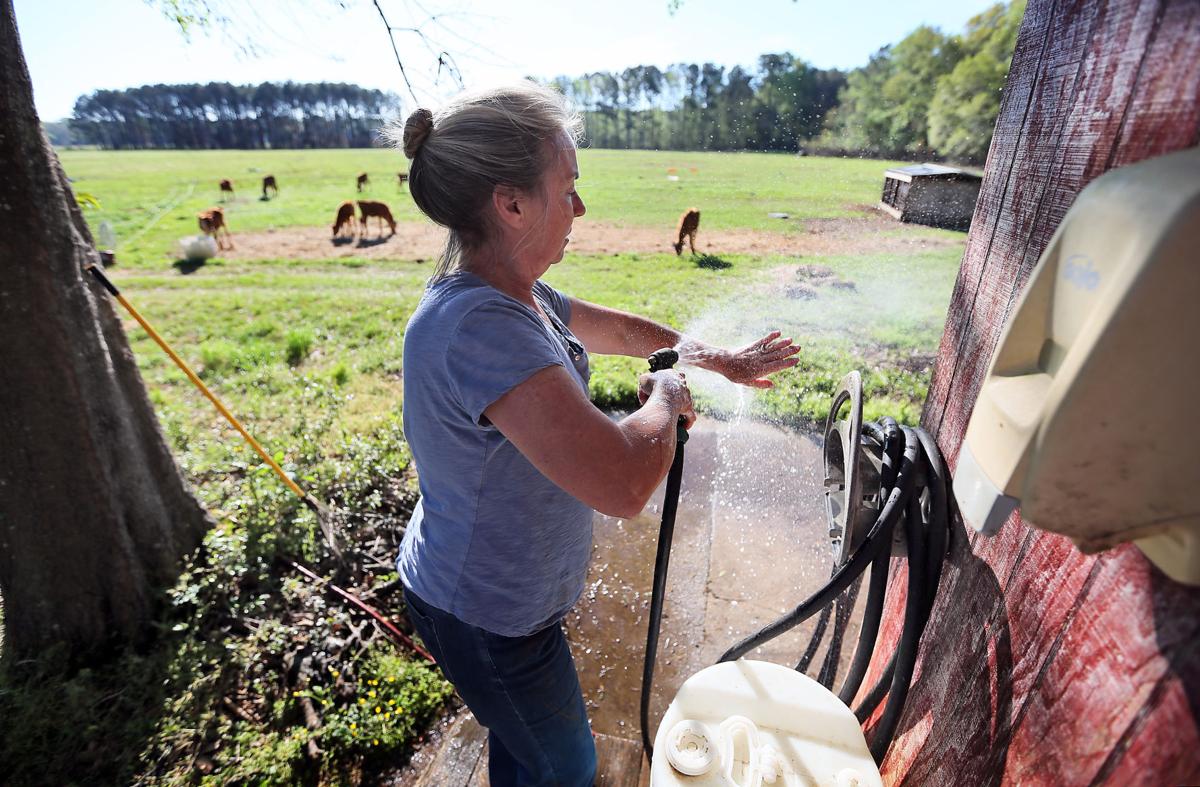 clean raw milk