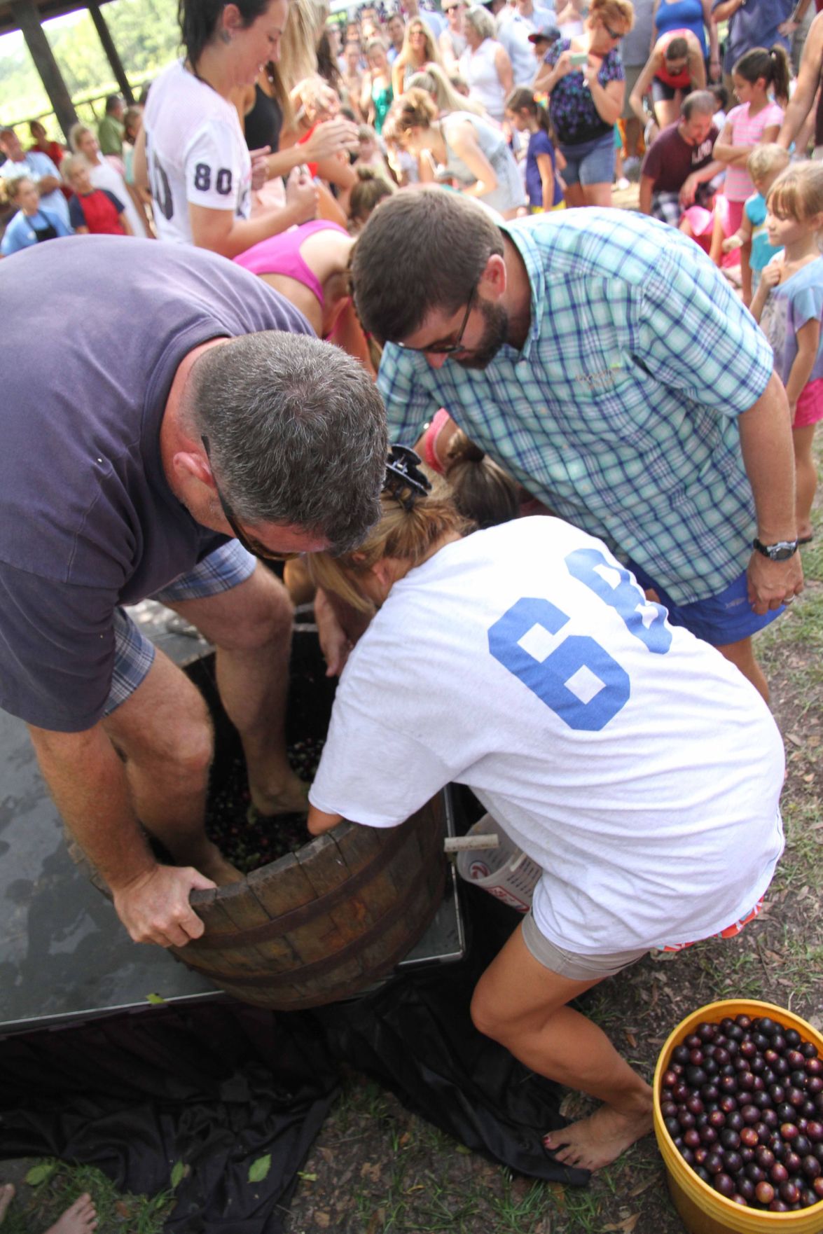 Grape Stomping Festival