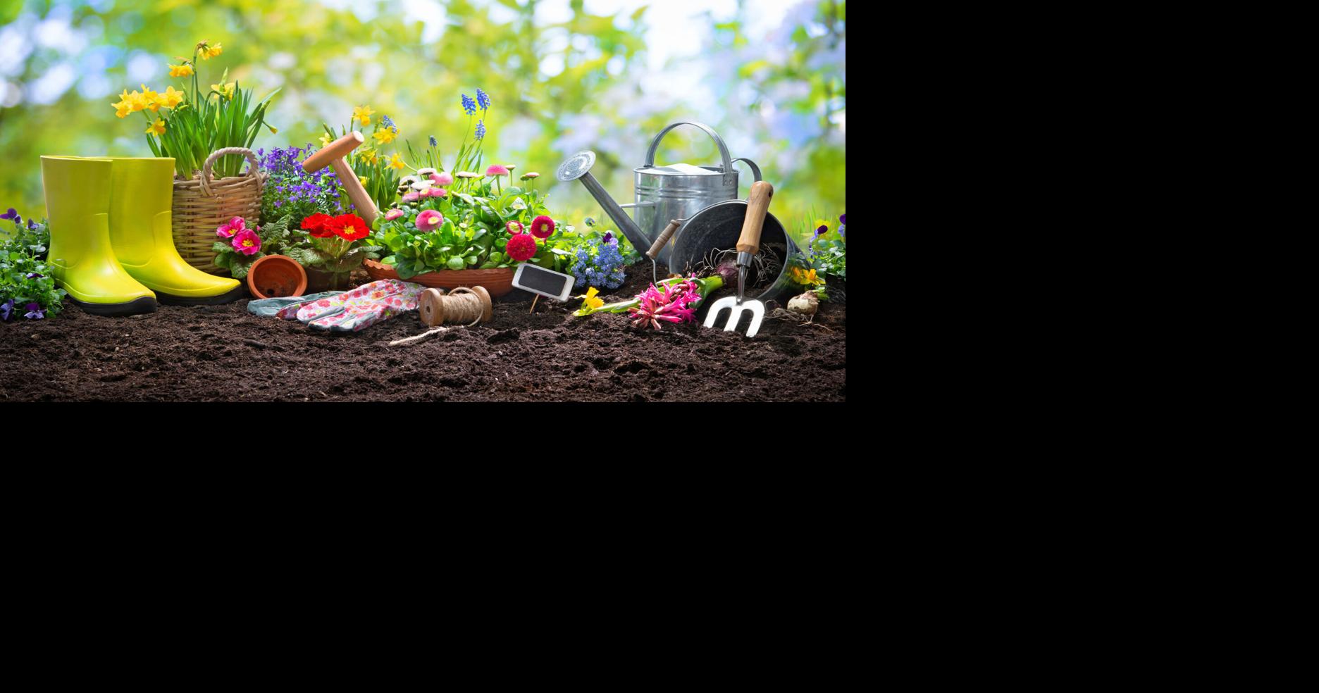 The spring garden is waking up, and it's time for Charleston's annual Plantasia