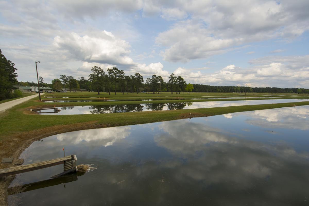 Santee Cooper turns over vital SC striped bass hatchery for lakes Marion, Moultrie News