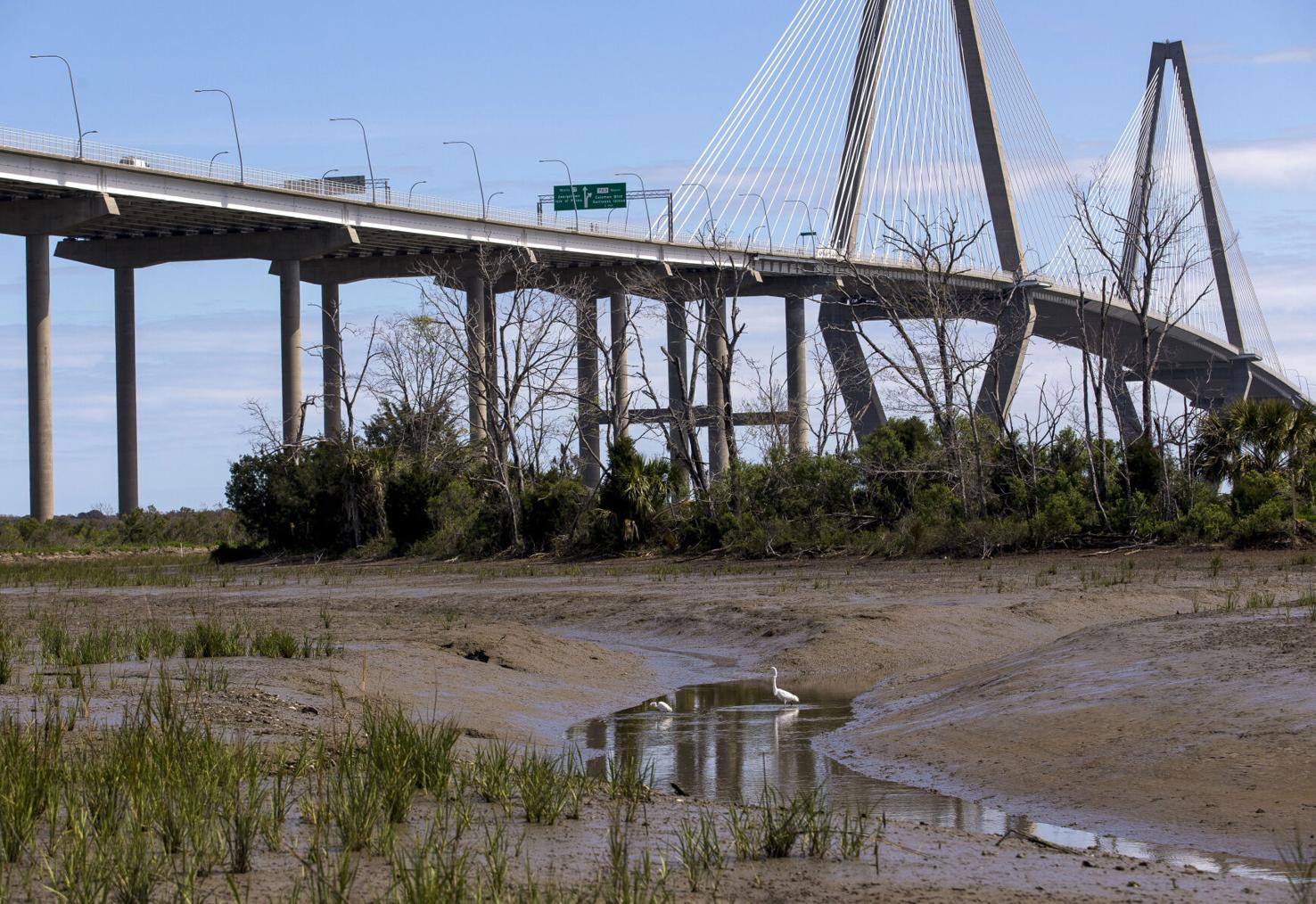 Drum Island restoration part of SC ports agency's effort to go green